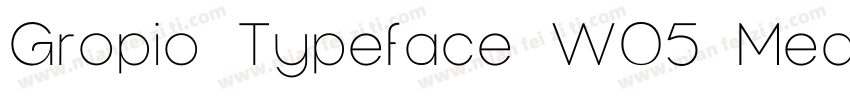 Gropio Typeface W05 Medium字体转换